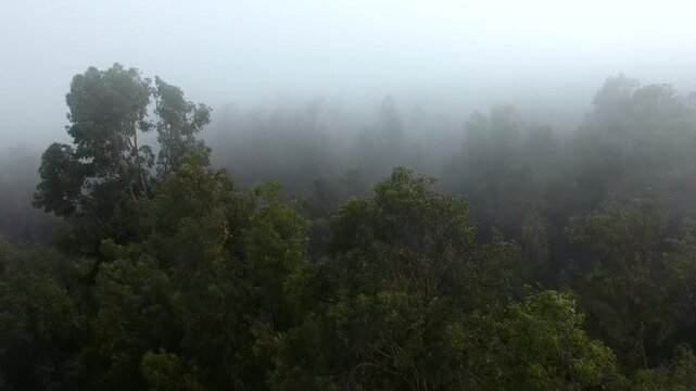 video a&eacute;reo sobre las nubes al borde de la ciudad 10