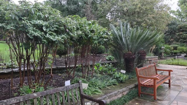 View of wooden benches along a stone path in the Royal Botanic Garden Sydney, New South Wales, Australia.