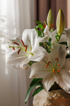 White Lily Flowers in Vase on Wooden Table