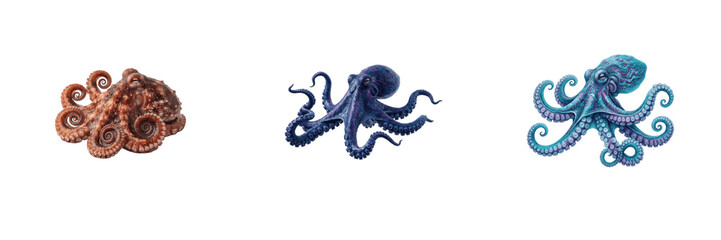 Set of colorful octopuses including brown curled octopus, dark blue sea creature, and vibrant turquoise and purple cephalopod isolated on white background © Ganesha