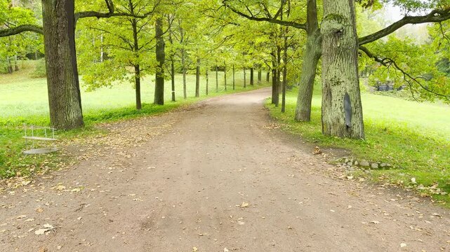 A wide dirt path winds peacefully through tall green trees in Pavlovsk Park, Saint Petersburg. The calm alley offers a serene feeling of quiet joy and relaxation.