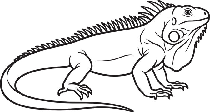 Minimalist line art illustration of a full body iguana standing