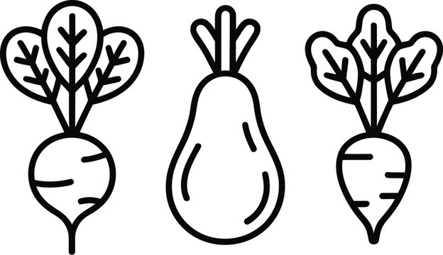 Root vegetable line art icon set featuring radish avocado and turnip beetroot elements isolated on white background vector illustration.