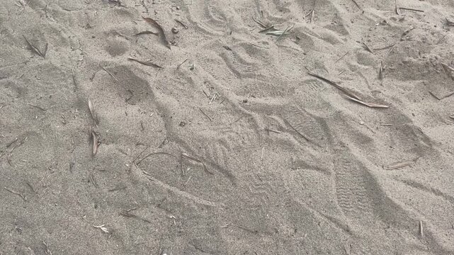 sand texture background, stone, beach, paper, backdrop