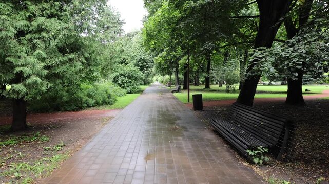 View of a paved path lined with lush green trees and a wooden bench in a public park in Kaliningrad, Kaliningrad Oblast, Russia.
