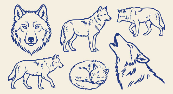 Set of hand drawn blue doodle wolves and howling wolf vector illustrations on cream background