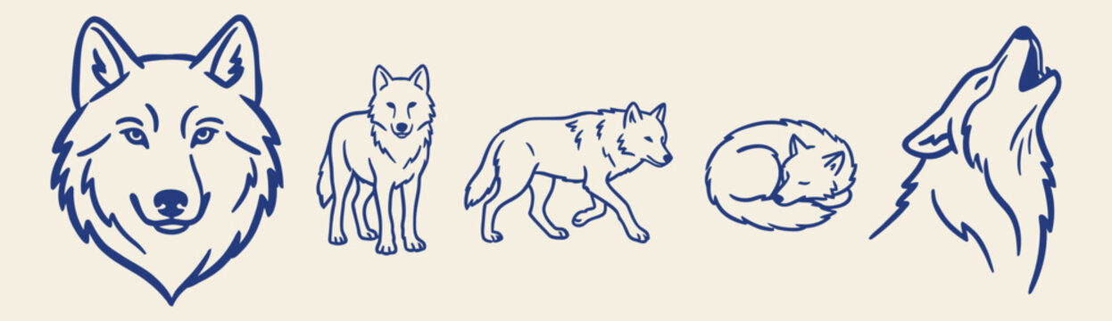 hand drawn blue outline wolf wildlife animals collection set on an isolated background
