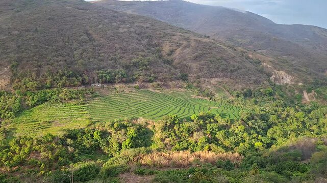 Panoramic view of green agricultural terraces on a mountain slope surrounded by dense forest
​Traducci&oacute;n en espa&ntilde;ol (para que sepas exactamente qu&eacute; dice):