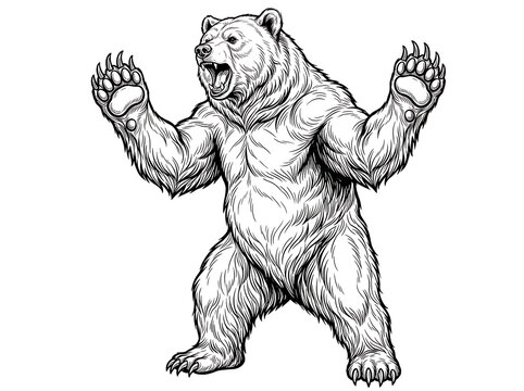 Standing grizzly bear brown bear on hind legs with paw raised black and white vector line art illustration for coloring page   
