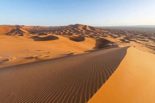 Red sand dunes in the desert, dune landscape Erg Chebbi, Merzouga, Sahara, Morocco