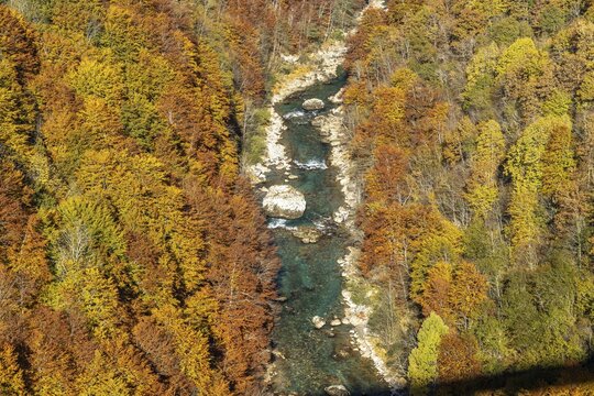 Tara River and Gorge in Autumn, Pljevlja, Montenegro