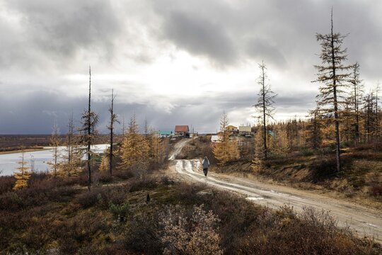 Bank of the Kolyma, Chersky, Yakutia, Russia
