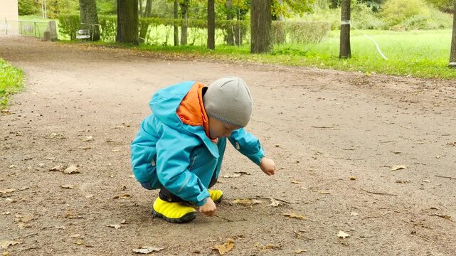 A curious child in a blue jacket crouches to play with leaves on a path in Pavlovsk Park, Saint Petersburg. His gentle play creates a warm feeling of sweet joy and wonder.