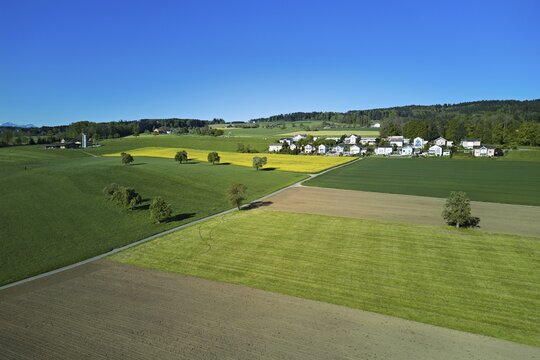 Fields and meadows, in the back the Auwerberg housing estate, am Lindenberg, Auw, Freiamt, Canton of Aargau, Switzerland