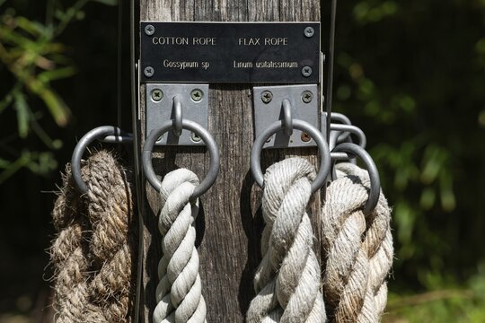 Different types of ropes, Chelsea Physic Garden, Chelsea, England, United Kingdom