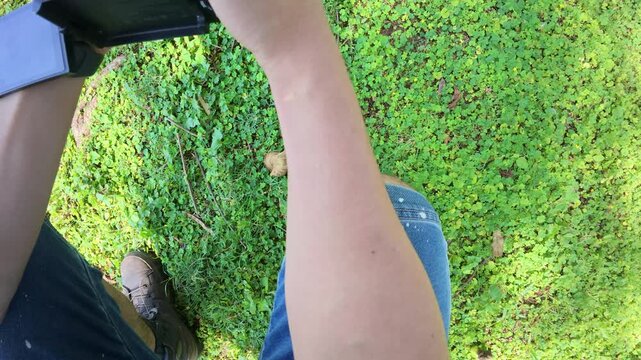 草地に立つ人物の腕と足元を見下ろした一人称視点の映像（POV Looking Down at Arm and Feet on Green Ground Cover）