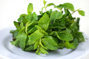 Fresh Green Mint Leaves Bunched on a Plate © InversedSlayer