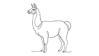 Obraz premium Continuous one single minimal line drawing of a llama