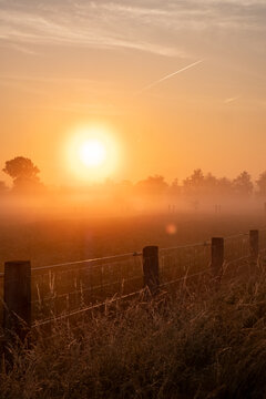 Misty Golden Sunrise Over Rural Farmland with Wire Fence in Belgian Countryside