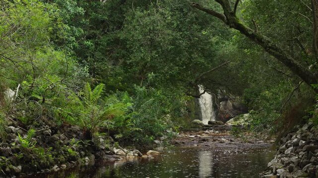 Disa River Falls cascading through riverine vegetation at Betty&rsquo;s Bay. Natural waterfall scene on the Whale Coast, Overberg, Western Cape, South Africa.