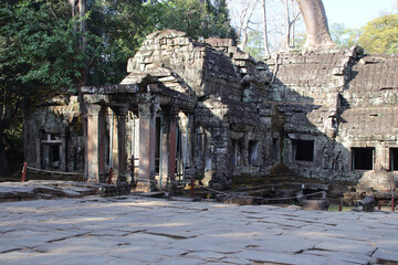 Naklejka premium ruined khmer hindu and buddhist temple (ta prohm) in angkor in siem reap in cambodia 
