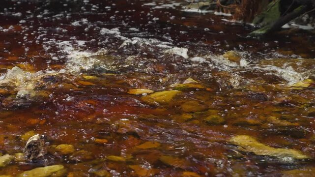 Coffee-coloured Disa River flowing over rocks, stained by tannins from fynbos vegetation at Betty&rsquo;s Bay. Typical Western Cape blackwater scene, Whale Coast, Overberg, South Africa.