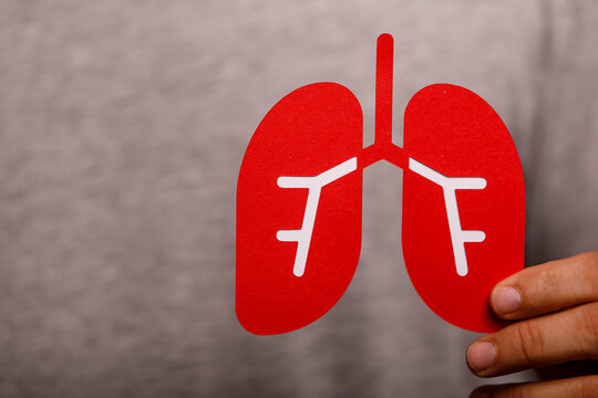 Red paper cutout of human lungs, symbolizing respiratory health and medical care.