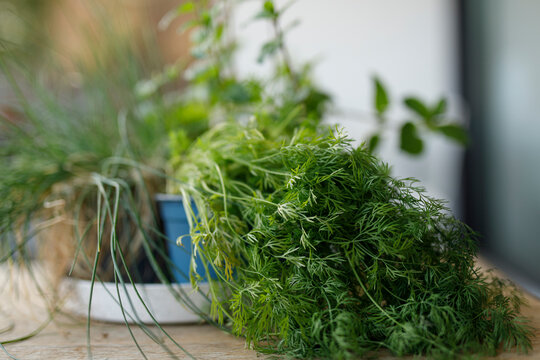 Freshly harvested dill and chives, perfect for culinary use and healthy eating.