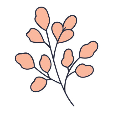 Pink Floral Branch