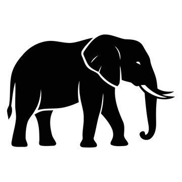 Wild Elephant Silhouette