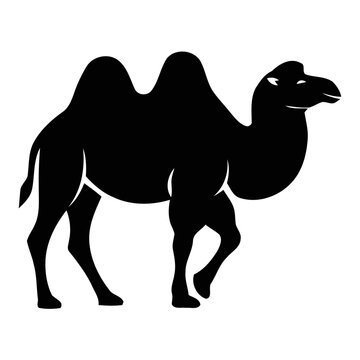Desert Camel Silhouette