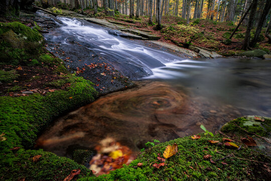 Water cascade flowing over smooth bedrock into a swirling forest pool with green moss and autumn beech leaves in Italy.