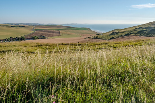 Panoramic Coastal Landscape with Wild Grass and Farmland at Cap Gris-Nez, Northern France