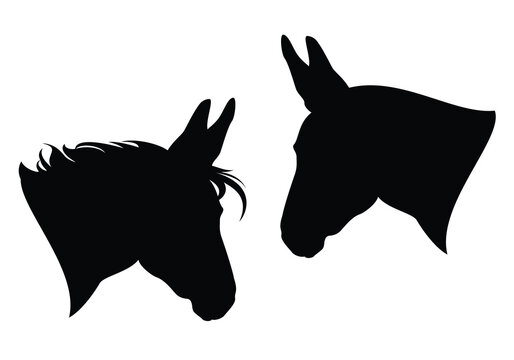 wild kulan and cute domestic donkey profile head black and white vector detailed silhouette portrait