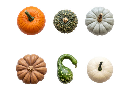 Set of pumpkins