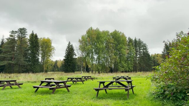 Empty wooden picnic tables stand on a bright green lawn near autumn trees in Pavlovsk Park, Saint Petersburg. This quiet place creates a peaceful feeling of calm and inviting joy.