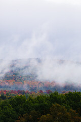 Fototapeta premium brouillard dans la forêt en automne, Brume sur la montagne emn automne.