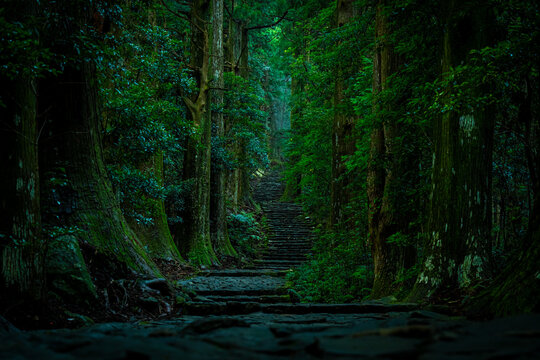 Misty Daimonzaka Path in Kumano Kodo World Heritage Site, Wakayama