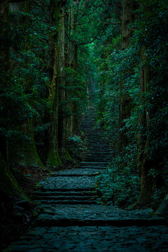 Misty Daimonzaka Path in Kumano Kodo World Heritage Site, Wakayama