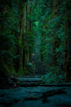 Misty Daimonzaka Path in Kumano Kodo World Heritage Site, Wakayama