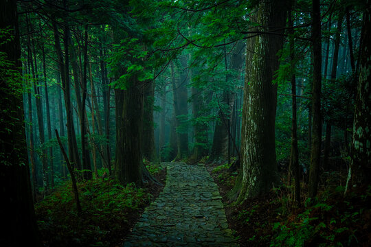 Misty Daimonzaka Path in Kumano Kodo World Heritage Site, Wakayama