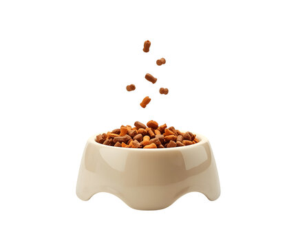 Bowl of crunchy pet food with assorted kibbles falling into a pile.