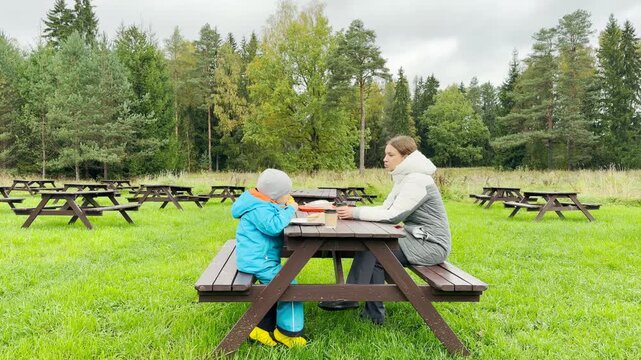 A mother and her child sit at a wooden picnic table to enjoy snacks in Pavlovsk Park, Saint Petersburg. Surrounded by green grass and trees, this cozy moment fills the heart with warm peace and joy.