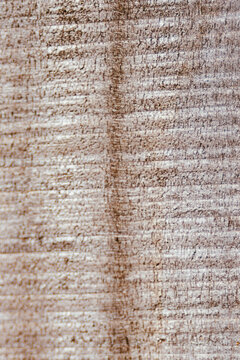 Aged wooden plank surface featuring a natural texture with grooves providing a rustic and worn background element.