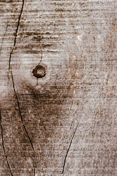 Aged wood texture background with natural cracks and knot, showcasing weathered rustic surface detail and abstract pattern for design element