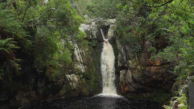 Disa River Falls cascading through riverine vegetation at Betty&rsquo;s Bay. Natural waterfall scene on the Whale Coast, Overberg, Western Cape, South Africa.