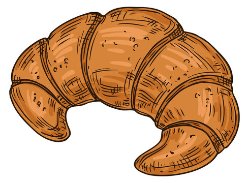 Croissant color sketch. Hand drawn french bakery