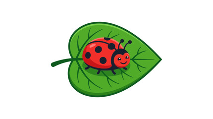 Fototapeta premium Cute Cartoon Ladybug on a Green Leaf Vector Illustration, Smiling Ladybird Character Isolated on White Background