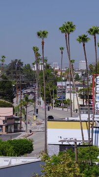 Aerial view looking down a street lined with tall palm trees, storefronts, and distant traffic under a clear sunny sky in Los Angeles, California.