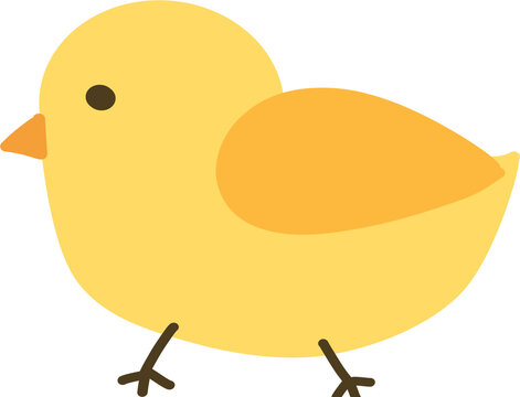 yellow chick icon